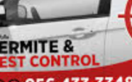 Pest Control Pharr, TX: Protecting Homes and Businesses from Unwanted Pests