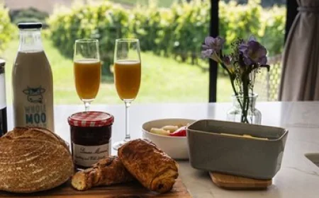 Embrace Tranquillity and Comfort at Stars and Vines – The Finest Luxury Countryside Lodges for Couples and Solo Travellers