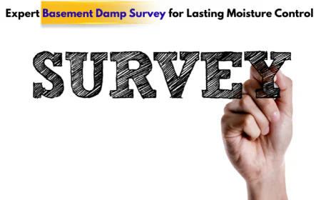 Expert Basement Damp Survey for Lasting Moisture Control