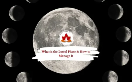 Understanding the Luteal Phase: A Key to Hormonal Balance