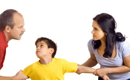 Best Family Lawyer in Toronto for Child Support Issues