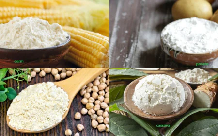 India Modified Starch Market Analysis: Growth, Share, Trends and Report 2025-2033