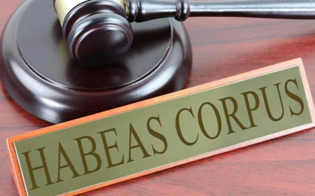 Habeas Corpus vs Appeals: How an Attorney Can Guide You