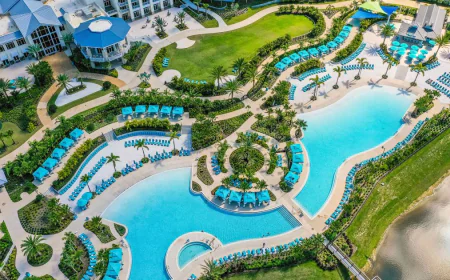 The Ultimate Guide to Experiencing Every Fun Show in Orlando and Disney World’s New Attraction