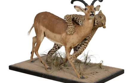 Crescent City Auction Gallery will Hold Two Important Auctions on Three Days, Nov. 6-8, with Nearly 1,000 Quality Lots