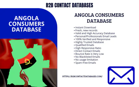 Angola Consumers Database: Powering Targeted Marketing in 2025
