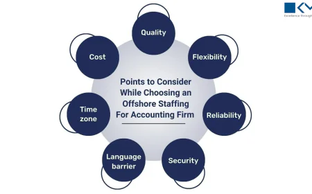 The Ultimate Guide to Hiring Offshore Accountants: Process, Tools, and Best Practices: