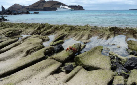 How Galapagos Private Yacht Trips Are Changing the Future of Eco-Tourism