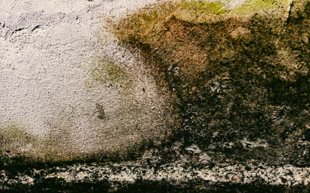 How Can Basement Humidity and Cold Work Together to Cause Problems?