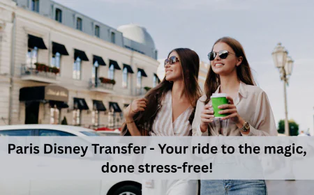 Paris Disney Transfer - Your ride to the magic, done stress-free!