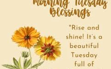 The Unseen Harvest: Finding Abundance in Daily Life Blessings