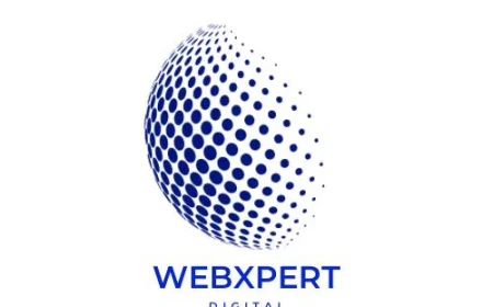 Elevate Your Online Presence with a Leading SEO Company in Brisbane