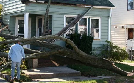 Get Reliable Wind Damage Claim Services in San Antonio with Accurate Recovery