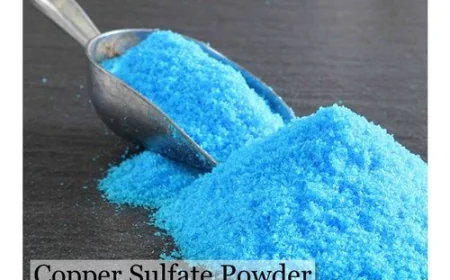 India Copper Sulphate Market Analysis, Growth & Trends Forecast 2025–2033