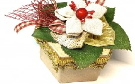 Orchidée Pour Bonbons – Une Douce Floraison Pour Chaque Célébration