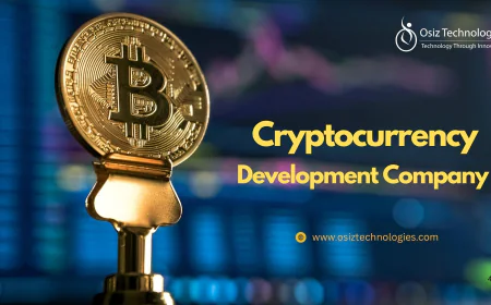 What makes Hamburg a rising centre for cryptocurrency development in Europe?