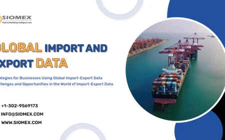 How Customs Data Reveals Market Opportunities