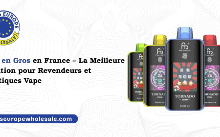 Puff en Gros en France – La Meilleure Solution pour Revendeurs et Boutiques Vape