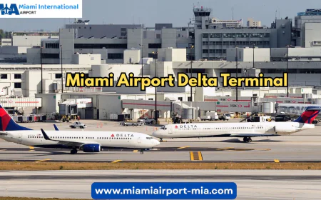 Why the Miami Airport Delta Terminal Is a Traveler’s Favorite