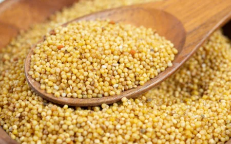 How to Cook Foxtail Millet for Weight Loss and Healthy Lifestyle at Home Easily