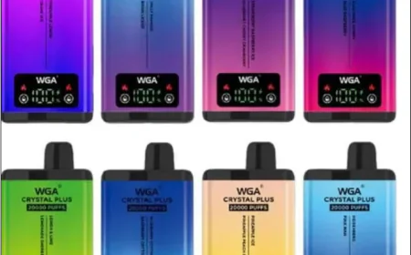 WGA Crystal Plus 20000 Box of 10 | Smart Dual Vape