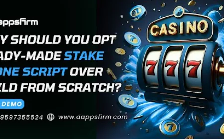 Why Should you opt Ready-Made Stake Clone Script over Build from Scratch?
