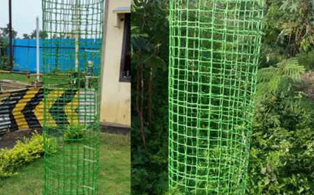 Plastic Tree Guard: The Ultimate Shield for Growing Trees