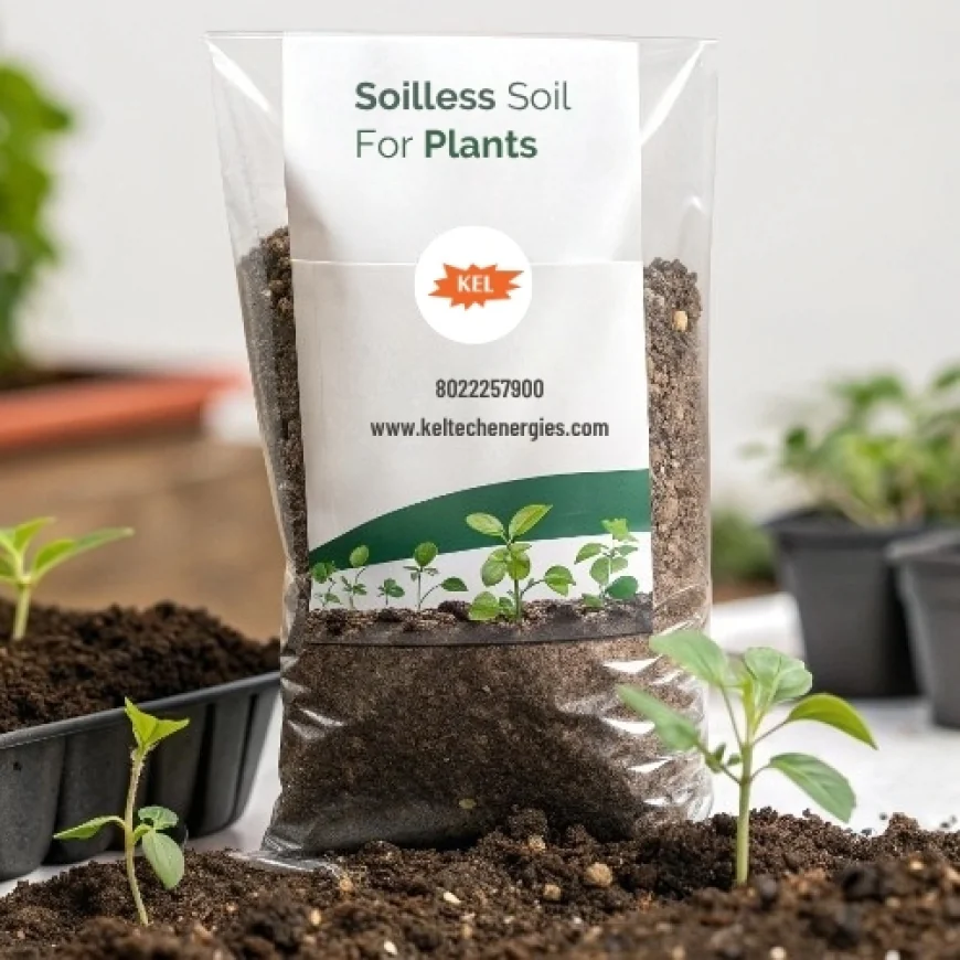 Soilless Soil for Plants: Sustainable Growing Medium