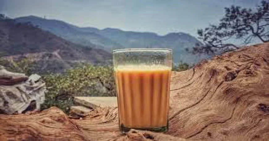 Which Tea Powder is Best in India? A Guide for Tea Lovers