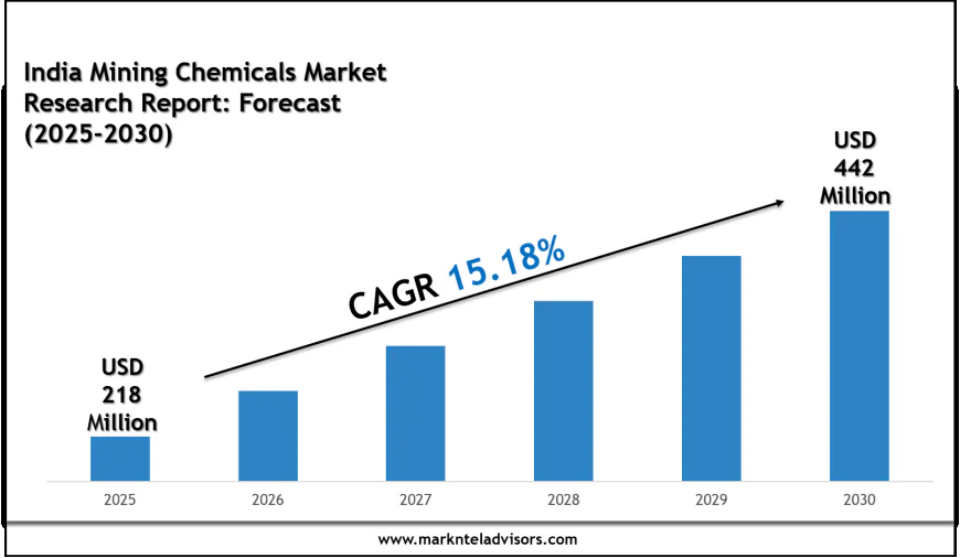 India Mining Chemicals Market Outlook 2030: Leading Companies & Growth Insights