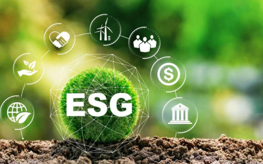 Supplier Risk Assessments and ESG Compliance: What Businesses Need to Know