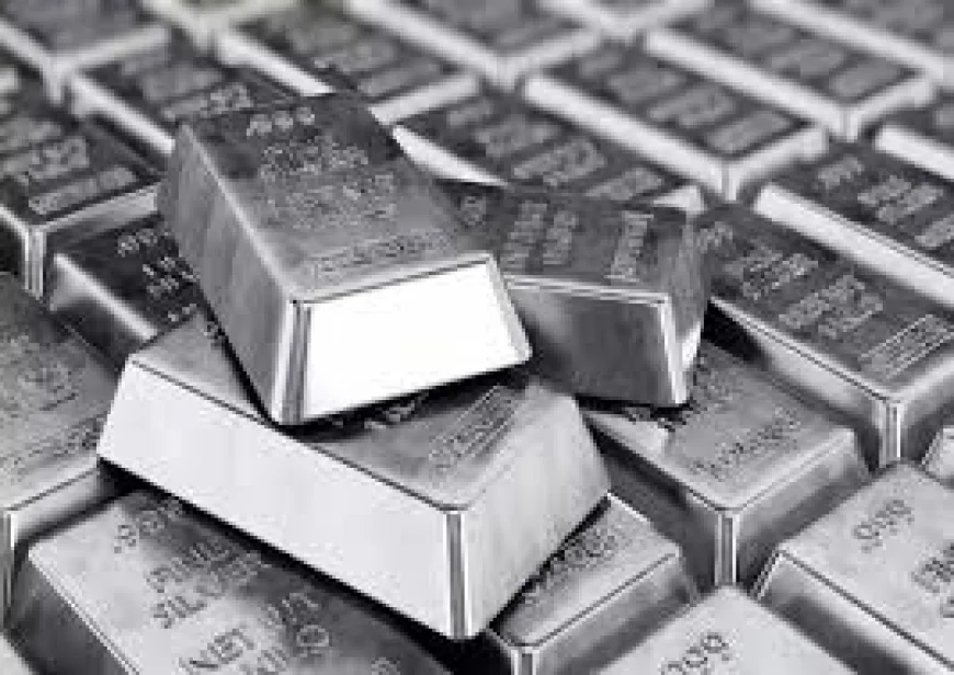 Best Commodity Trading Platform for Beginners: What to Look For