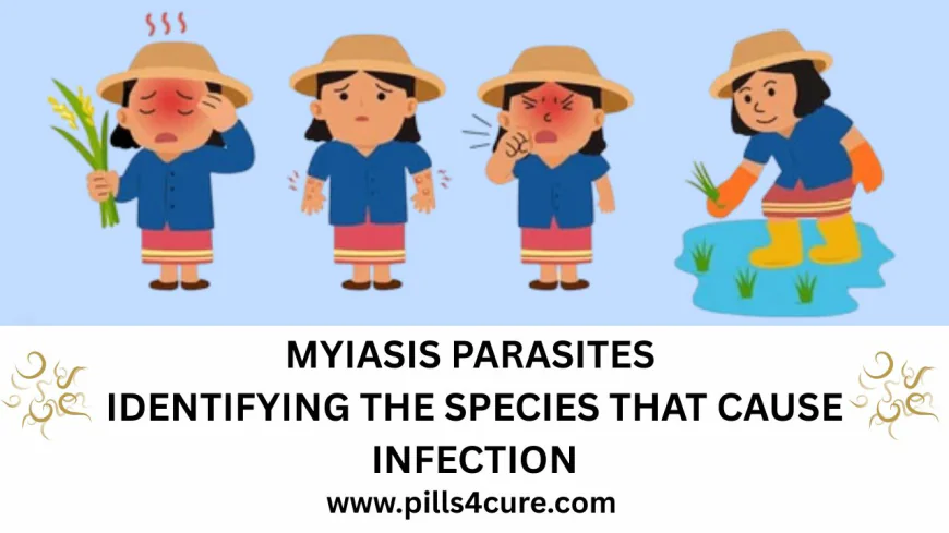 Myiasis Disease: Everything You Need to Know About Parasitic Infestation