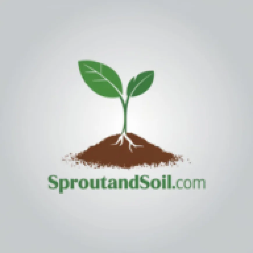 How to Identify and Treat Common Houseplant Pests