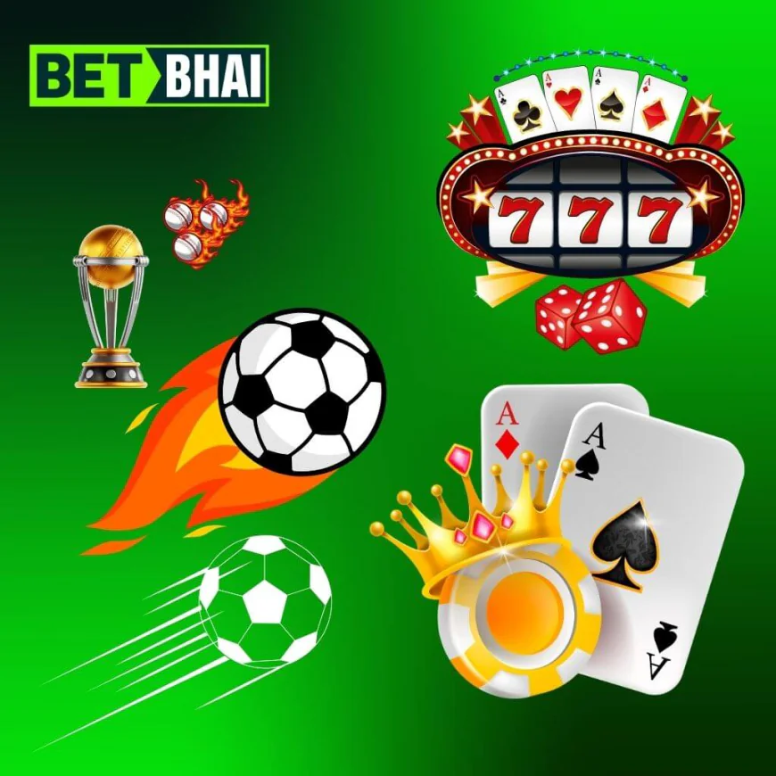 Everything You Need to Know About Your betbhai9 ID