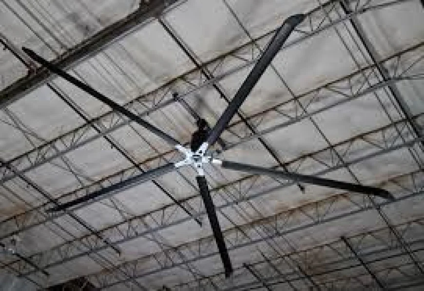 The Ultimate Guide to Big Industrial HVLS Fans