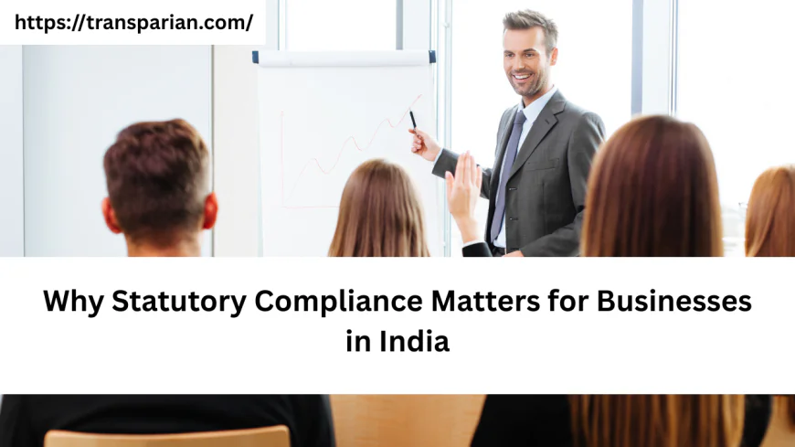 Why Statutory Compliance Matters for Businesses in India