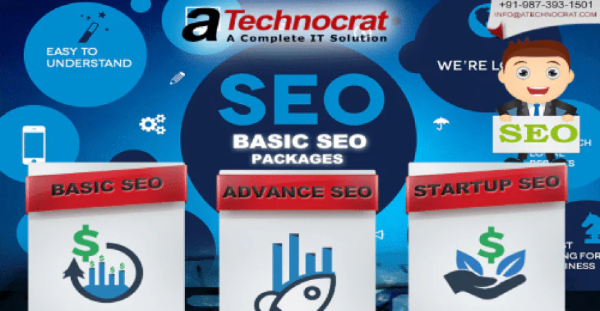 Maximize Online Sales with a Dedicated Ecommerce SEO Company