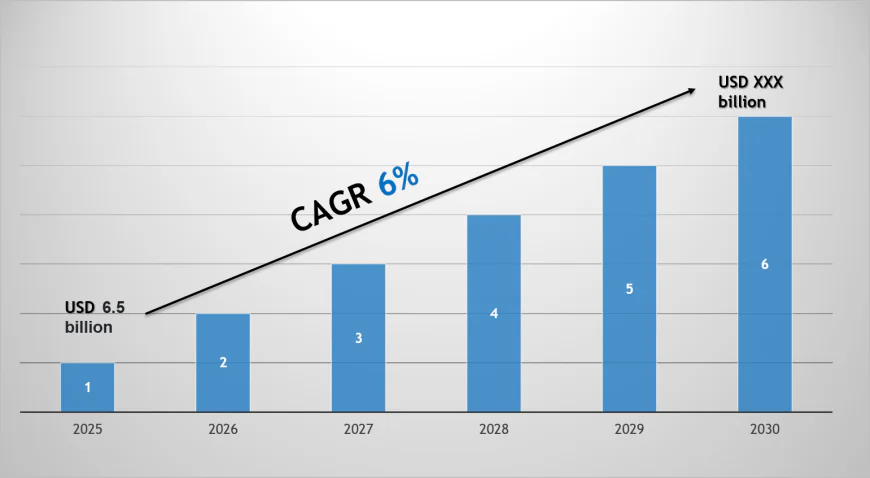 Smart Gas Meter Market Share, Size & Competitive Landscape Report 2030