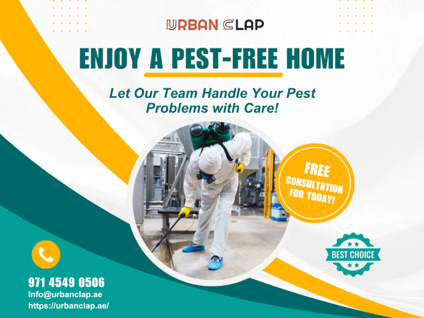 The Top Ten Pest Control Businesses in UAE 