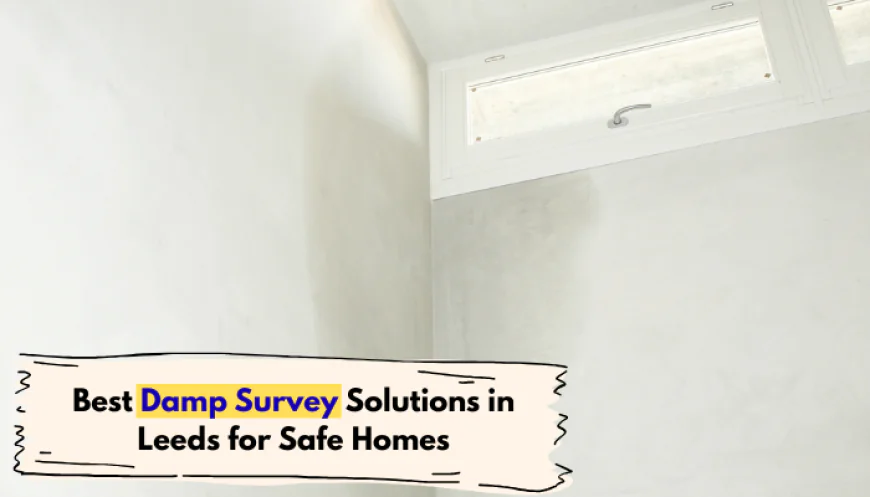 Best Damp Survey Solutions in Leeds for Safe Homes