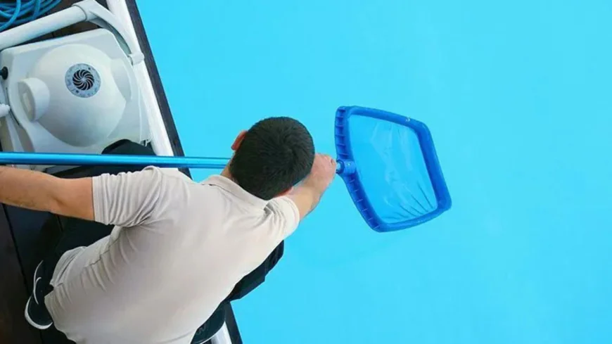 How Can Professional Pool Cleaning Services Improve Your Pool’s Life?