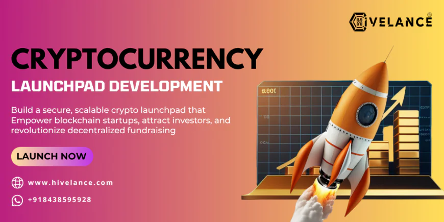 Why Building a Custom Crypto Launchpad Can Accelerate Your Project Growth in 2026 Bull Run