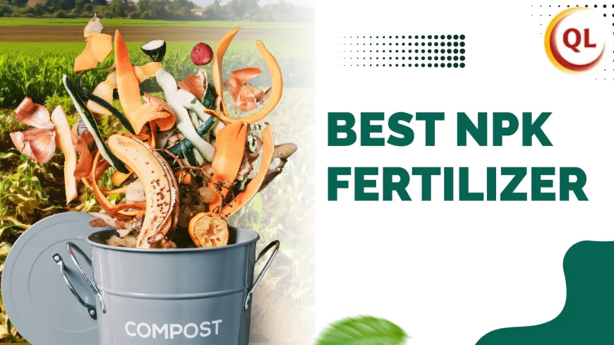 The Best NPK Fertilizer for Vegetables and Fruits: A Farmer’s Guide