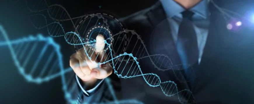 Why Hiring Forensic DNA Litigation Attorneys Near Me Makes a Difference in Criminal Defense