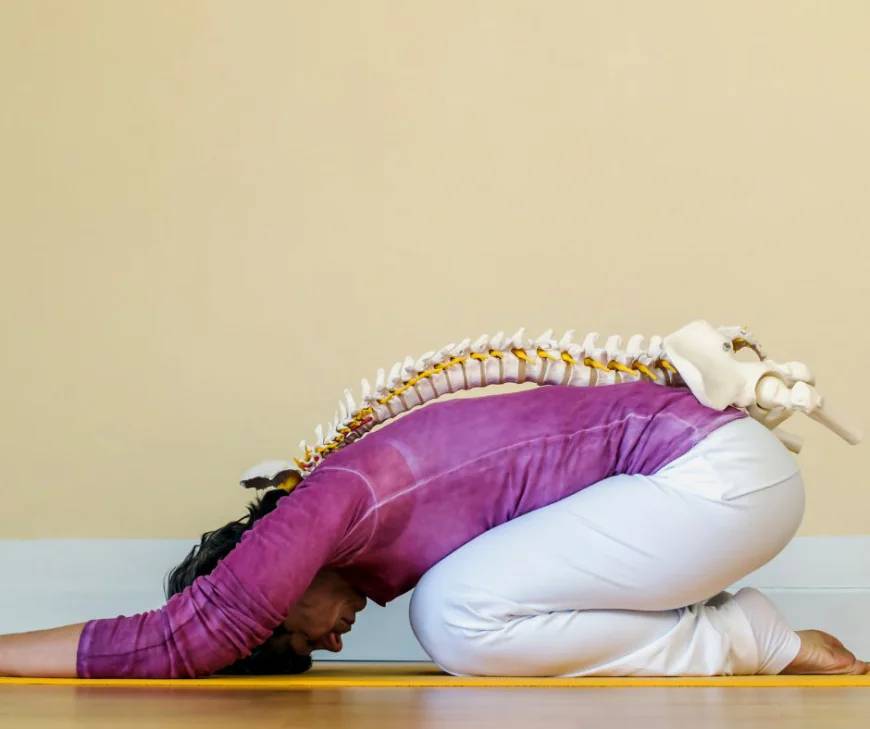 How Physiotherapy for Spinal Stenosis Reduces Pain and Improves Mobility