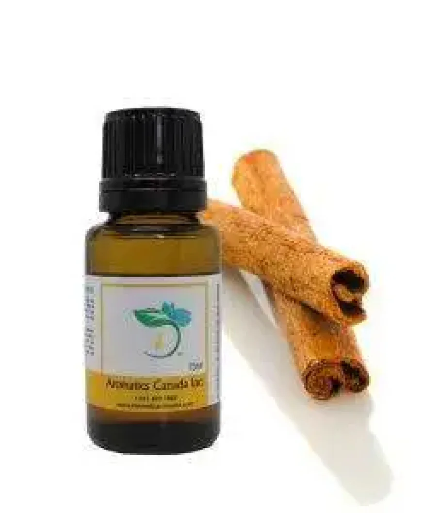 Discover the Benefits of Cinnamon Bark Essential Oil
