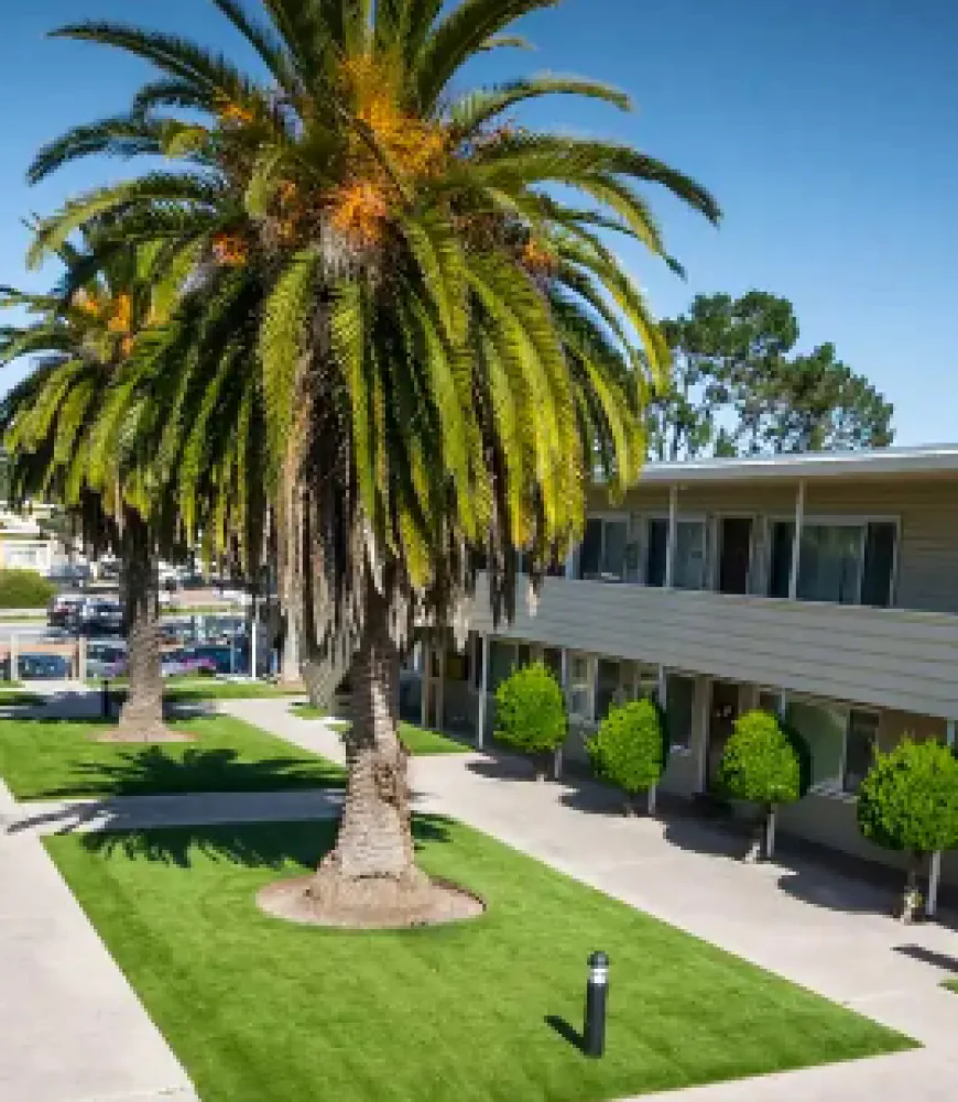 Step-by-Step Guide to Installing Artificial Turf in Small Urban Backyards