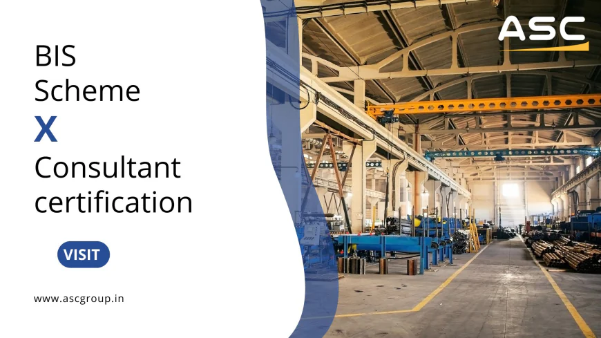 Top BIS Scheme X Consultant | Complete Certification Assistance