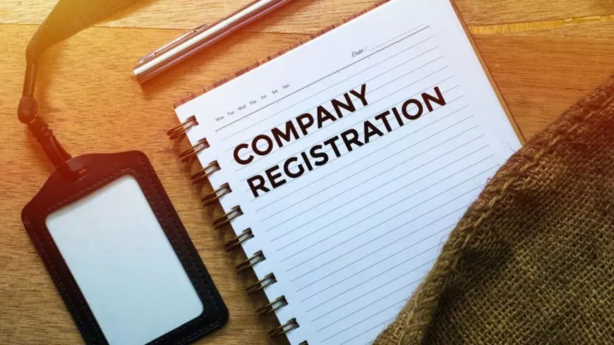 Everything You Must Know Before Registering an LLC
